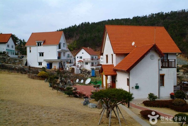 하얀여행사 제주 이미지