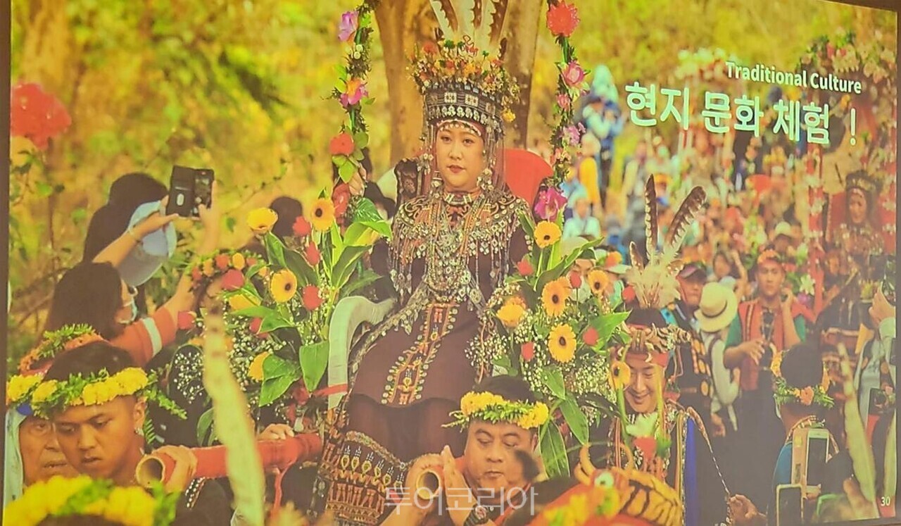 (주)핑투어 이미지