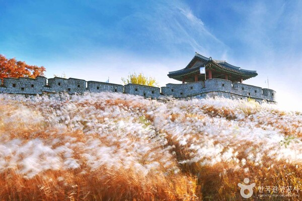 (주)좋은여행 좋은리조트 이미지