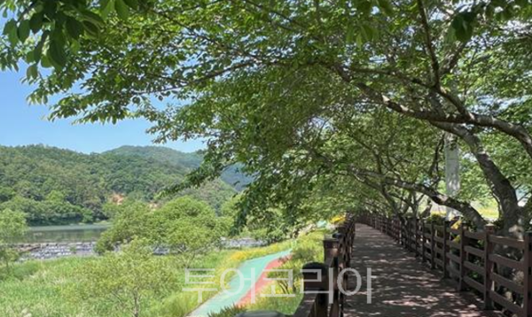 탐진강 생태탐방로. /사진-장흥군