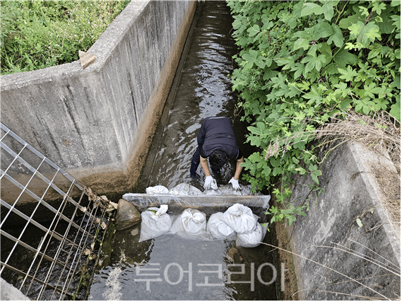 대표 이미지
