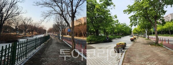 일산호수공원 휀스 개방 전.후/투어코리아뉴스 김경남 기자