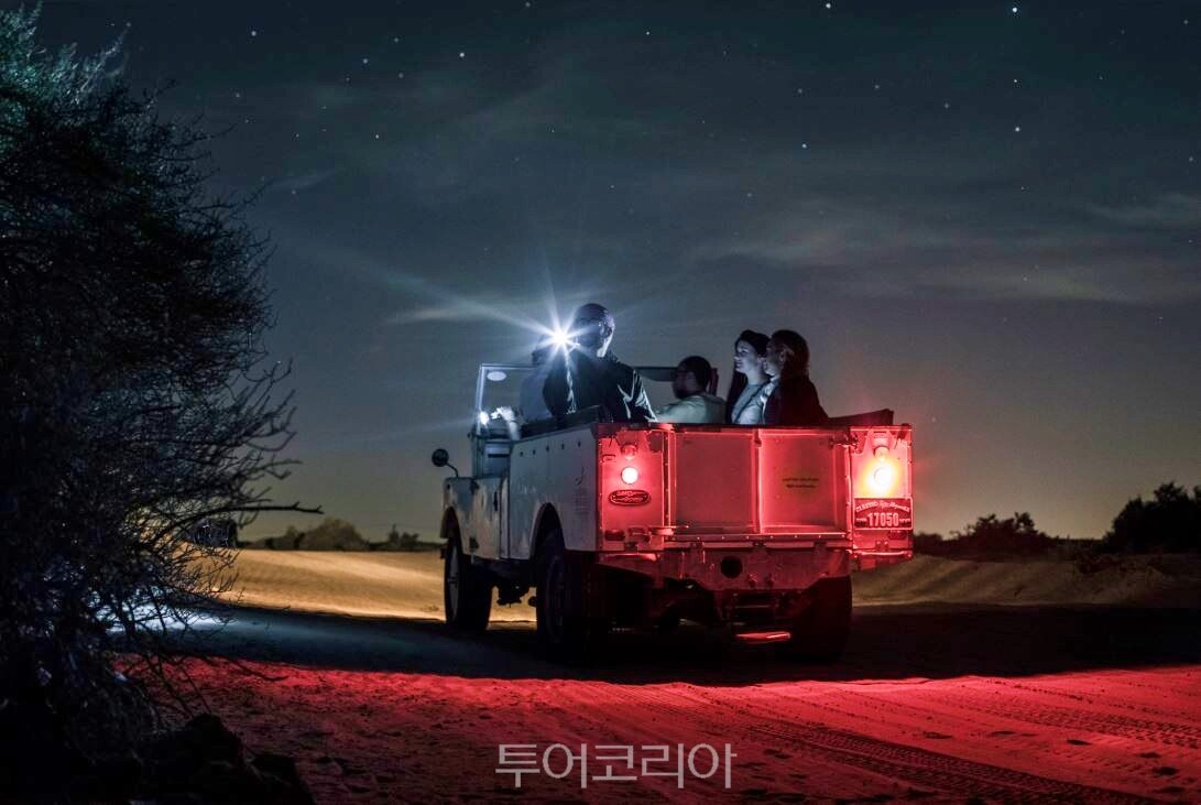플레티넘 헤리티지 '프라이빗 나잇 사파리' /사진-두바이관광청