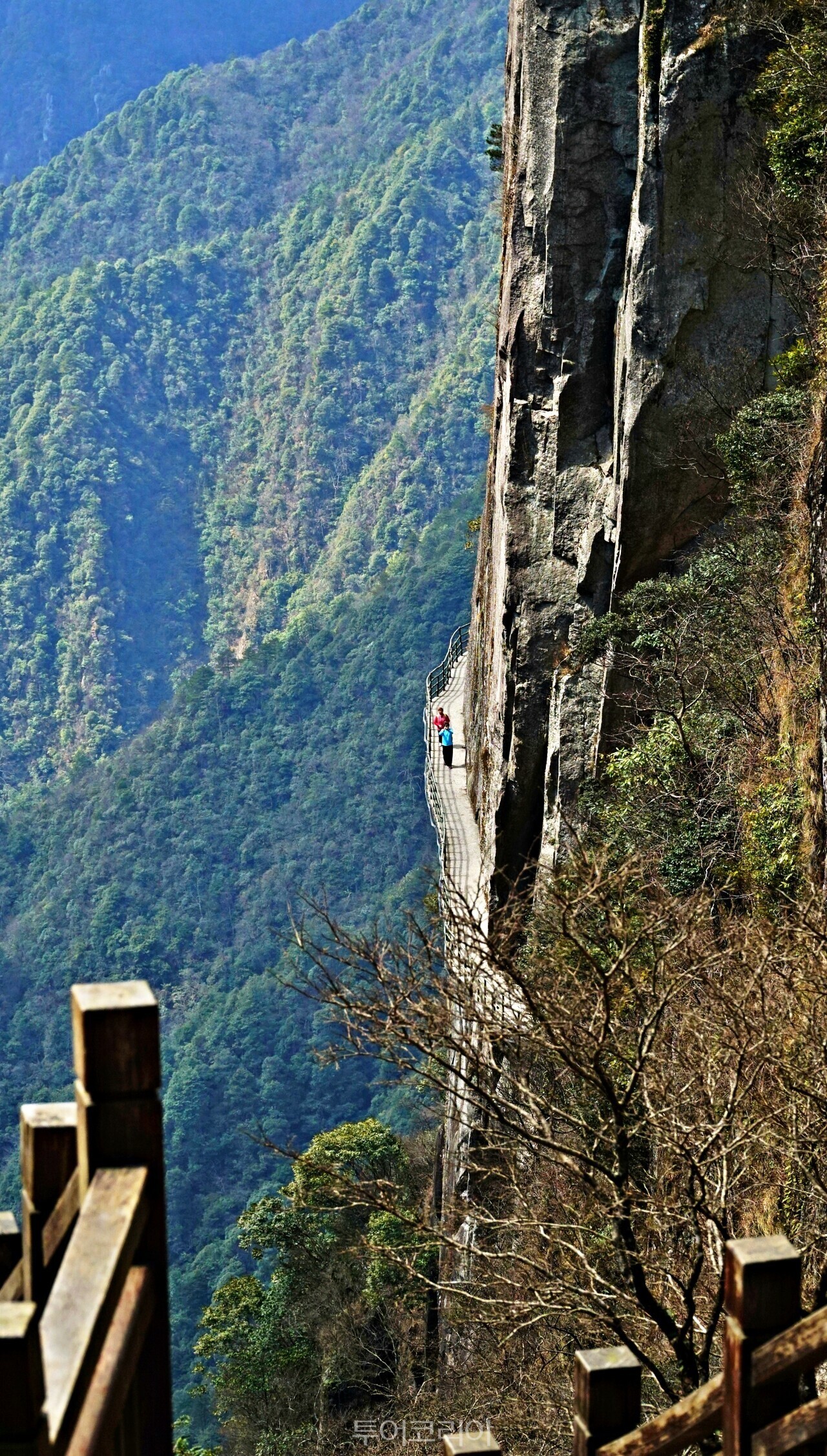예뻐지고 건강해지고 싶은 당신에게! 중국 이춘 '셀레늄온천&하이킹'