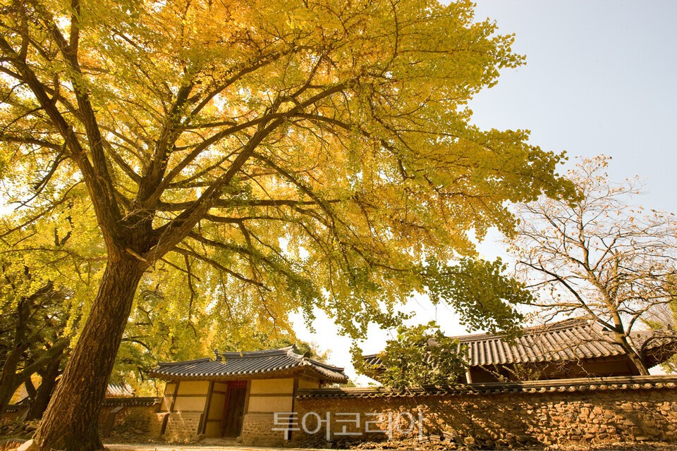 청라은행마을
