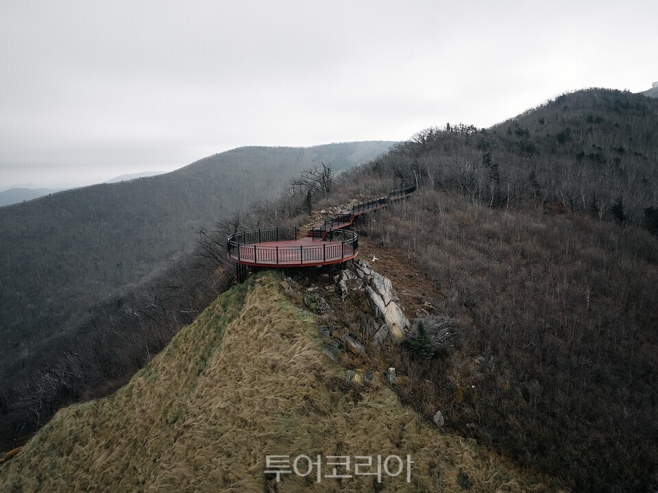“산림휴양도시 태백, 그곳에 가면 힐링이 생활이 된다”