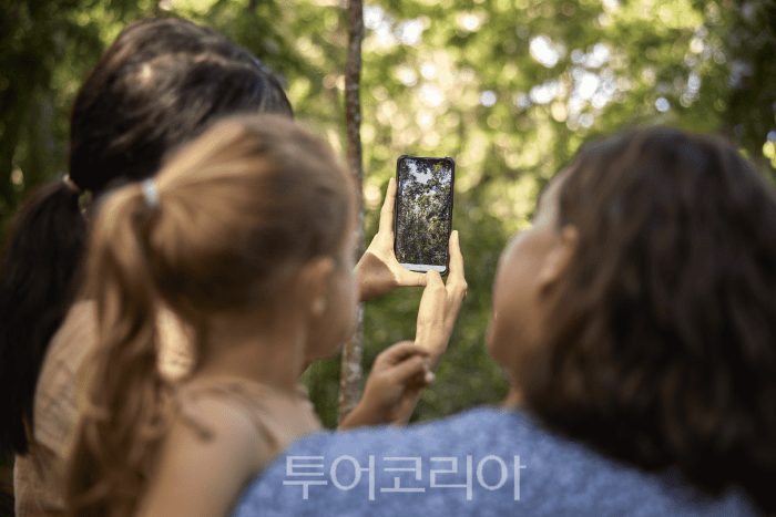 스카이레일 레인포레스트 케이블웨이/ 사진-호주 퀸즐랜드주 관광청