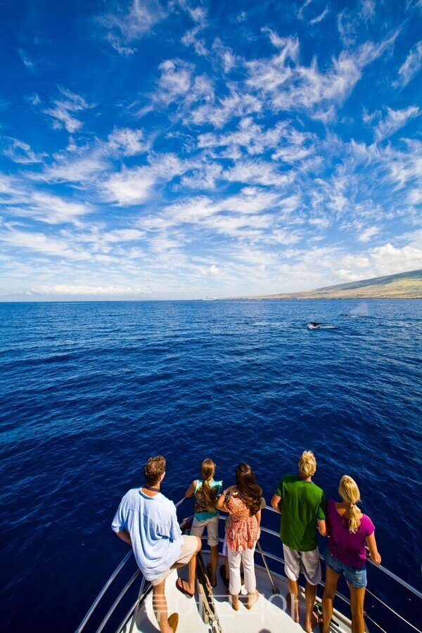 헬리콥터를 타고 상공에서 내려다본 나팔리 코스트.   마우이 인근 해역에서 혹등고래를 관찰 중인 여행객들/사진- 하와이 관광청.