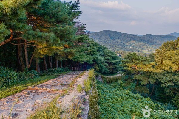 산성, 동물원, 그리고 감성적인 카페까지...다채로운 매력 품은 청주 가... - 뉴스 썸네일 이미지