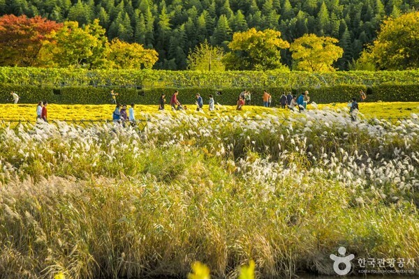 태화강 국가정원 /사진제공-한국관광공사