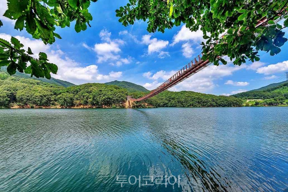가을에 가볼 만한 곳, 파주 마장호수 출렁다리의 고요한 물결