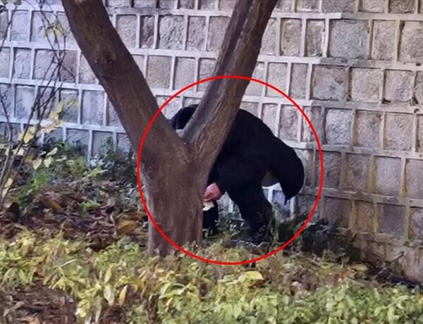 ▲경복궁 돌담 아래서 중국인 관광객이 용변을 보는 모습. /사진-서경덕 성신여대 교수