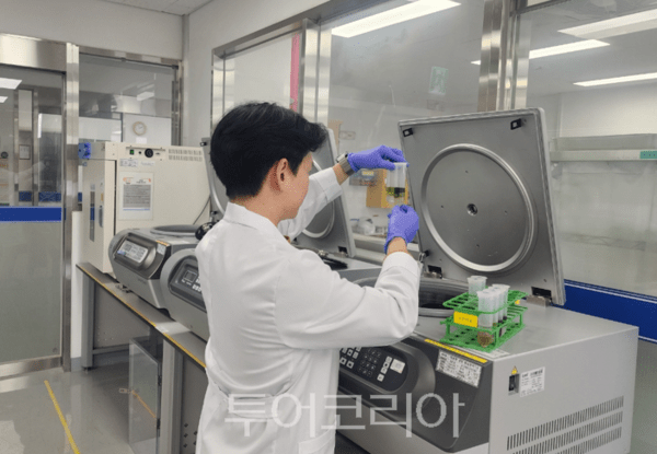 잔류농약 분석 과정