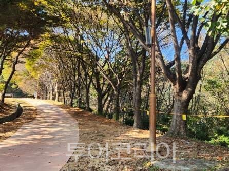 보행로 보수 후 모습. /사진-청주시