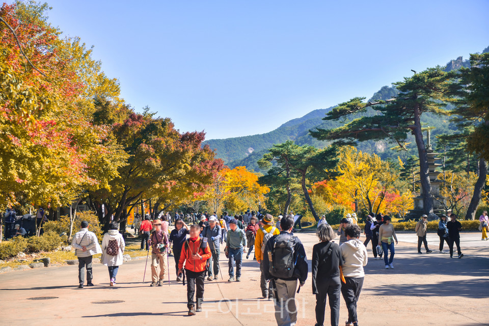 온천·카페·달콤 체험까지, 속초 감성 여행 - 뉴스 썸네일 이미지
