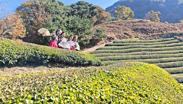 섬진강 따라 웰스테이, "일상보다 더 가까운, 그래서 남도여행" - 뉴스 썸네일 이미지