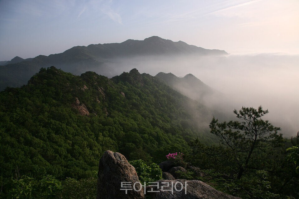 동악산  /사진=곡성군