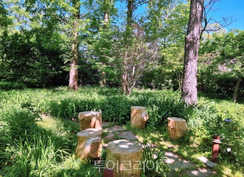 포항 기청산식물원/사진-코레일관광개발
