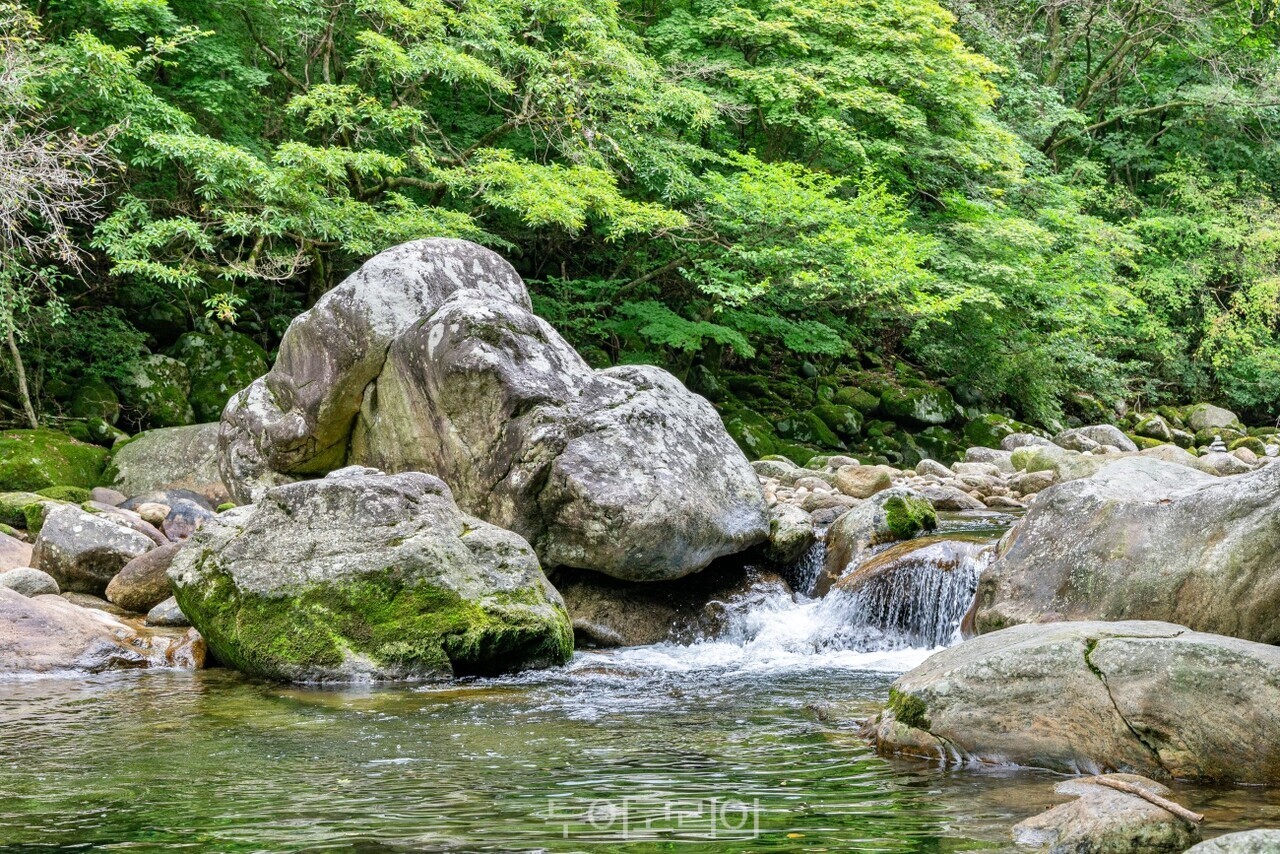 계곡에서 더위 식히고 광한루 야경에 반하다...올여름 남원에서 꼭 가봐... - 뉴스 썸네일 이미지