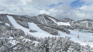 추위야 반갑다! 스키시즌 개막...모나용평, 국내 스키장 중 처음으로 21일 개장