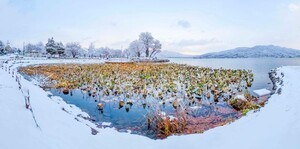 양평군, 제10회 양평관광사진 공모전 시상식 개최