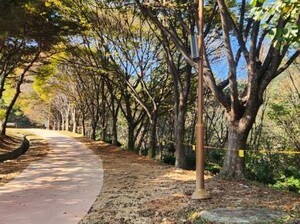 청주시, 관광 활성화 '문의문화유산단지' 새단장 공개